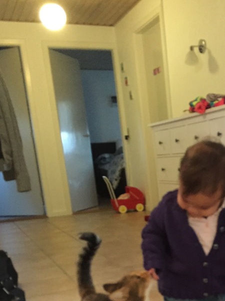 The frugaleers jovially jostle their way into June July and joyfulness