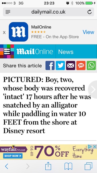 Accident of sorts at Disney in Florida, may be upsetting