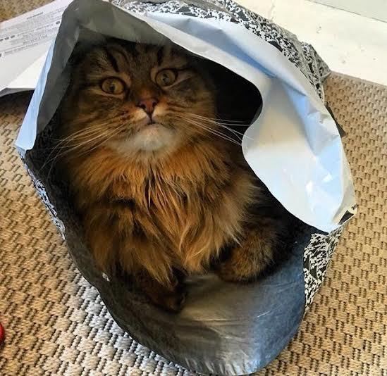 This isn't what I ordered!