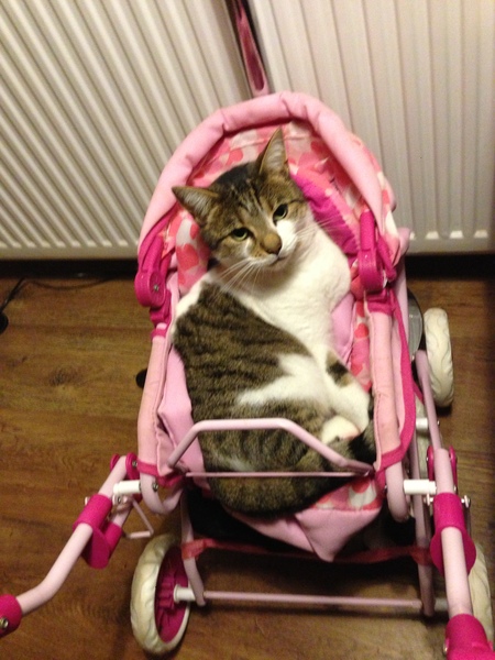 This isn't what I ordered!