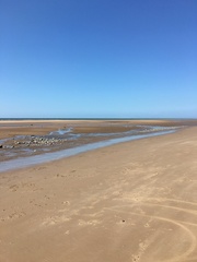 To think we would enjoy Blackpool?