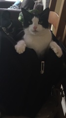 This isn't what I ordered!