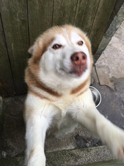 The frugaleers jovially jostle their way into June July and joyfulness