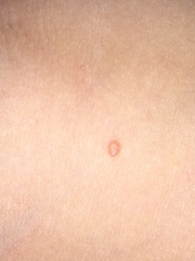 what are these!?!!! (4yr old)