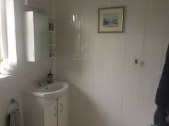 Help me decorate my bathroom