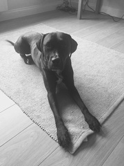 Photo thread anyone?