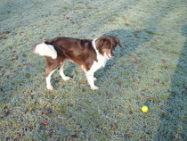 The frugaleers jovially jostle their way into June July and joyfulness