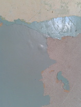 Plasticky paint layer over plaster in older house