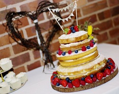 Pom Poms, Placards and Picket Lines. The Berries are putting up the barricades and will not be crossed! A delightful bunch of 30 something Ladybros TTC #1.