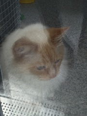 The frugaleers jovially jostle their way into June July and joyfulness