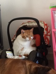 This isn't what I ordered!