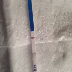 evap line?