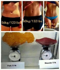 I'm NOT fat