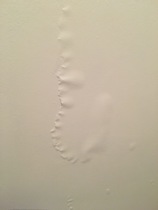 AIBU to expect my building contractor not to leave my house uninhabitable? What compensation do you think would be reasonable?