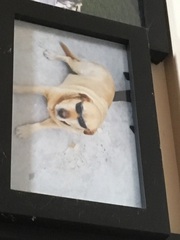 The frugaleers jovially jostle their way into June July and joyfulness