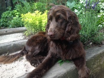 Brave Babes Battle Bus