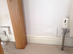 Damp Issues