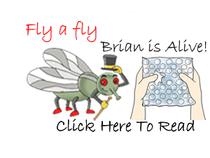Brian the fly- Bedtime Stories