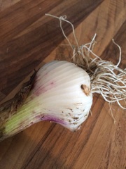 Allotment/Veg Patch Thread 6 -  Weed 'em and Reap!