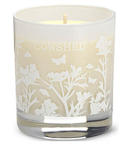 Oooooooooh, I have just made candles with 10% oils and they really are as good as Diptyque/Jo Malone