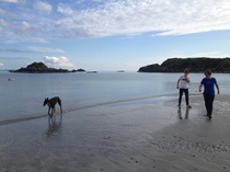 2 weeks Isle of Mull in Aug - have I made a mistake?