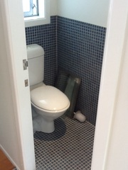 Would you mind showing me a picture of your downstairs toilet, please?