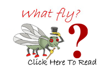 Brian the fly- Bedtime Stories