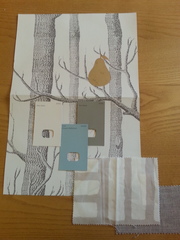 Which colour which wall?