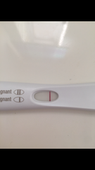 Is this a positive ovulation test? Pic included