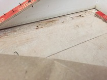 Ripping up carpet and making use of floorboards underneath