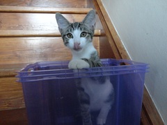 This isn't what I ordered!