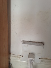 Damp Issues