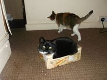 This isn't what I ordered!