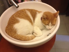 This isn't what I ordered!