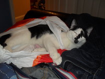 This isn't what I ordered!