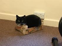 This isn't what I ordered!