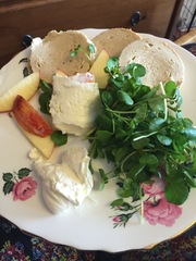 My big fat 800 calorie blood sugar diet diary, all welcome