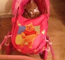 This isn't what I ordered!