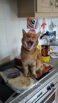 This isn't what I ordered!