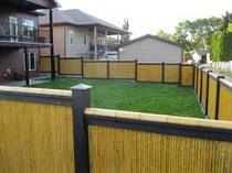 A thrilling thread about fence posts and painting garden fences