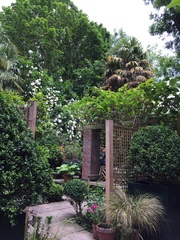 "in the midst of winter, I found there was within me, an invincible summer" Potting shed chat continues here