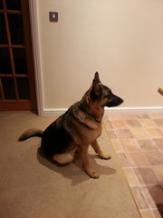 The frugaleers jovially jostle their way into June July and joyfulness