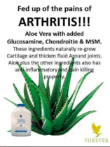 MLM Bot Watch 23 - Powered by Twunk's Yazoo: Tragicomic cultic wampum flogging scamalangadingdongs like Forever Living, Ariix, Herbalife, Younique, Juiceplus, LifeTreeWorld.