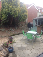 what can I do with this garden?!