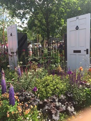 "in the midst of winter, I found there was within me, an invincible summer" Potting shed chat continues here