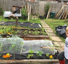 Allotment/Veg Patch Thread 6 -  Weed 'em and Reap!