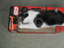 This isn't what I ordered!