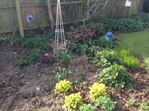 Is mid-June too late to plant anything?