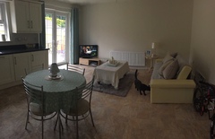 How can I (cheaply) make this large, bland space more cosy?