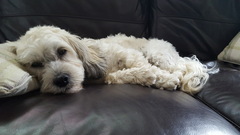 Photo thread anyone?